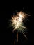 White gold fireworks display with green strands of light