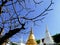 White and golden chedis with lilawadee tree of Royal cemetry at Wat Ratchabopit