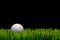A white golf ball in green grass