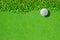 White golf ball on green grass background)