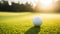 White golf ball on picturesque green golf course at the sunset. Pitch is perfectly prepared, grass is neatly trimmed.