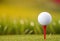 A white golf ball on a tee in a grassy field with a blurred background