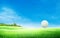 White golf ball on tee and green grass meadow field with blue sky and trees.