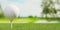 White golf ball on white golf tee close up with golf course fairway background with copy space, golf sports or activity concept