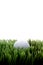 A white golfball on green grass