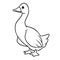 White goose bird cartoon illustration animal character coloring page