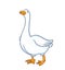 White goose isolated on white background. Cartoon funny goose