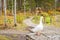 White goose with orange beaks in the park walk in search of food
