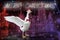 White goose spreads its wings cheerfully for coming Christmas feast