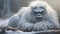 White Gorilla In Snow: A Cinematic Fantasy Character Rendered In Cinema4d