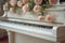 White grand piano keys with cream roses