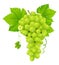 White grape cluster