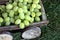 White grapes in the decorative cart