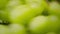 White grapes, looping rapidly changing macro views, robotic arm shot