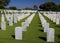 White graves in Rosecrans National Cemetery, San Diego, California, USA