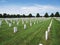 White Gravestones on Green Grass