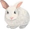White and Gray little Rabbit Bunny set. Watercolor hand painted. Set of watercolor animals.