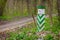 White green boundary post at a spring forest ground road