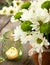 White and green chrysanthemums