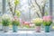 White Greenhouse Backdrop with Symmetrical Pastel Buckets and Blooming Tulips and Daffodils.