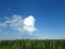 White and grey clouds in blue sky. Stormy rainy weather forecast