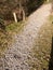 White grey stone cobble path floor outside