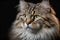 White and grey striped cat closeup profile portrait. Generative AI