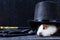 A white guinea pig under a black tall hat with leather gloves and a magic knobbed cane on a dark copy space background