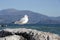 The white gull basks on the rocks