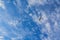 White gull on a cloudy blue sky