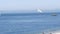 White gull flies on background of blue sea with rocky coast. Action. Flight of white seagull in clear sky on background