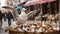 A white gull over a basket with chicks.