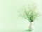 White gypsophila flower in vase on light green background. Springtime composition with copyspace