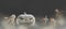 white Halloween pumpkin dark fog mist background 3d-illustration