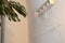 white hangers hang on the wall on hooks near a green indoor flower in an apartment, interior