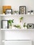 White hanging shelves with numerous plants and framed taxidermy insect art such as butterflies, beetles and dragonflies