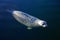 White Harbour Seal, Phoca vitulina richardii, Vancouver Island, British Columbia