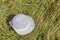 White hat abandon in the glade, Vitosha mountain