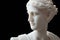 White head marble statue of roman Ceres or greek Demeter