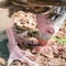 White-headed vulture. Predator bird tears out pieces from the prey. Close-up