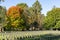 White headstones stand in line like soldiers against a background of trees readying to burst with Fall colors.