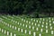 White headstones surrounded by trees at at the National Cemetery in Grafton, West Virginia