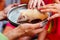 a white hedgehog on a tray. a hand strokes animals.