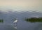 White heron staying and fishing at Burgas lake, Bulgaria