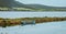 White heron walking in a pond and looking for food near a fishing boat