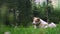 A white himalayan dog enjoying in a natural environmental setting