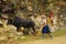 White Hmong woman returning from the fields