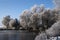 White hoar frost on the trees at the shore of a frozen lake, beautiful rural winter landscape under a blue sky with copy space