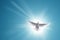 White Holy Dove Flying in Blue Sky