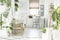 White home office interior with fresh green plants, grey chair s